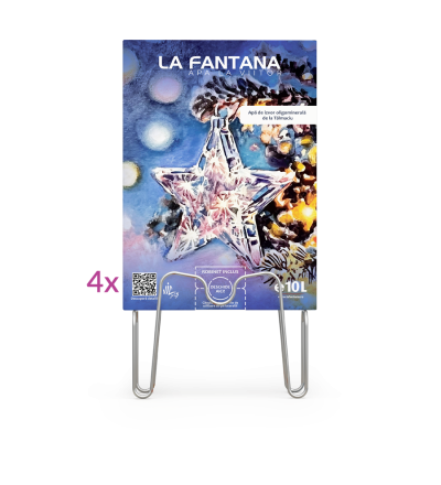 Apă plată - apă de izvor - 4 cutii de 10 litri - pachet Bag-in-box cu apă plată pentru acasă