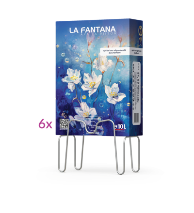 Apă plată - apă de izvor - 6 cutii de 10 litri - pachet Bag-in-box cu apă plată pentru acasă