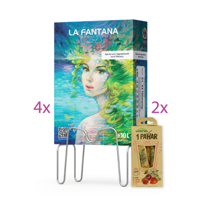 Pachet Bag-in-box (4 x 10) & Sirop