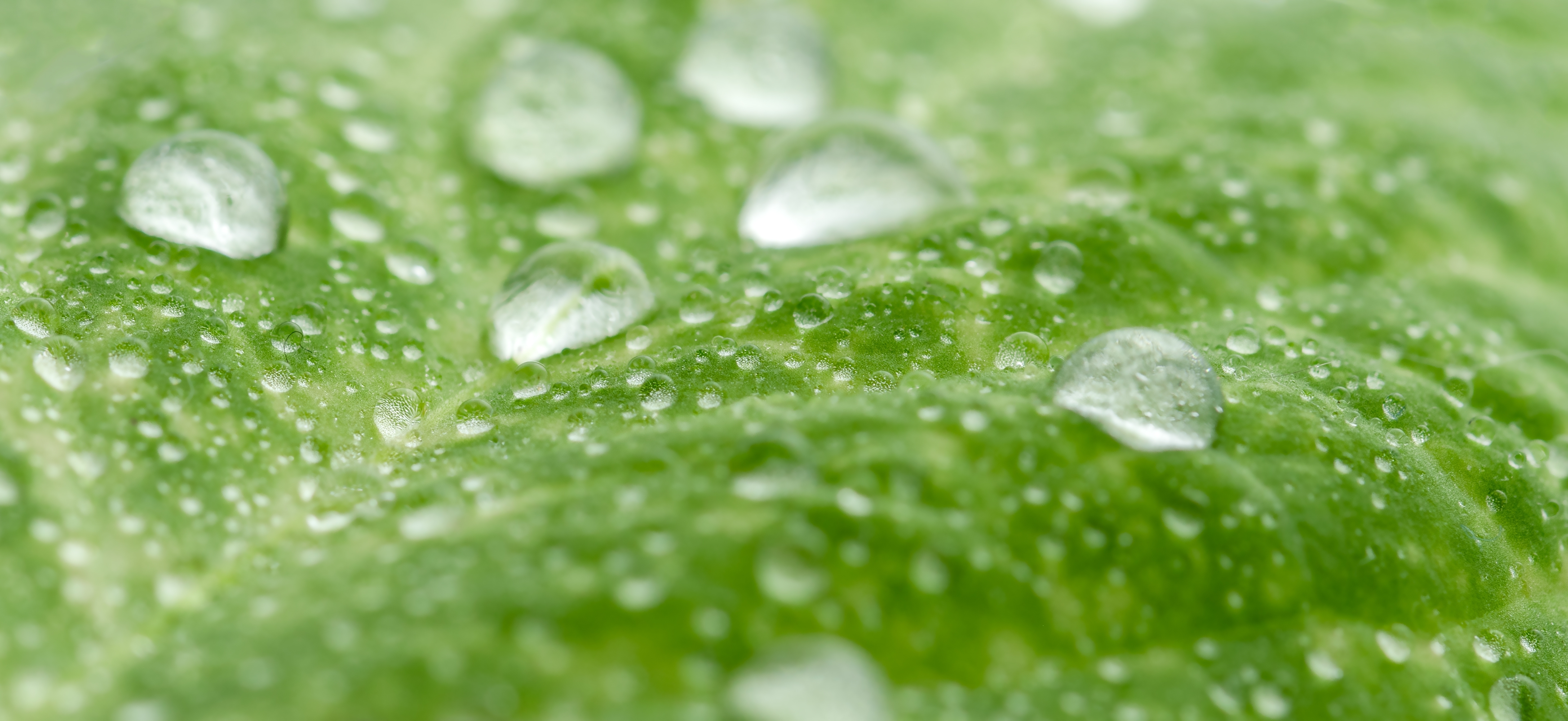 „Gândește #ApaLaViitor!”